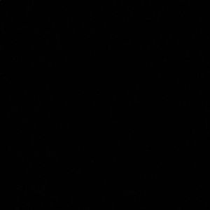 Meet your Posher, Summer